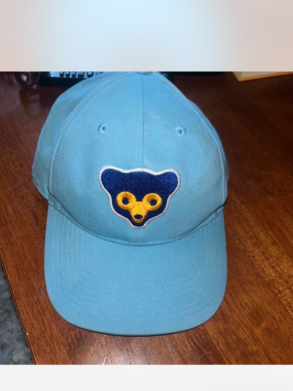 Light Blue Baseball Cap with Bear Patch